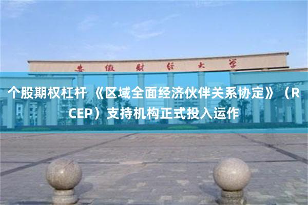 个股期权杠杆 《区域全面经济伙伴关系协定》（RCEP）支持机构正式投入运作