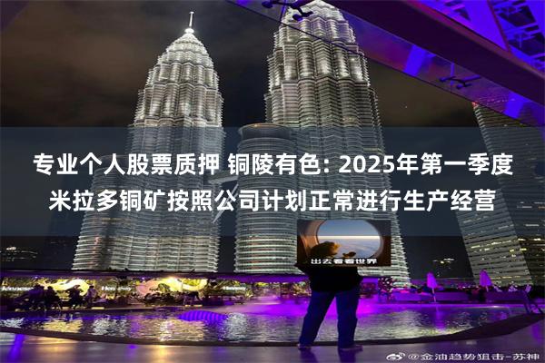 专业个人股票质押 铜陵有色: 2025年第一季度米拉多铜矿按照公司计划正常进行生产经营