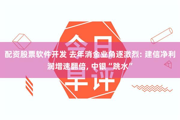 配资股票软件开发 去年消金业角逐激烈: 建信净利润增速翻倍, 中银“跳水”