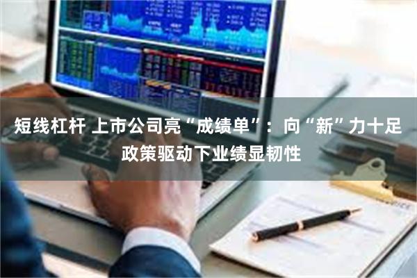 短线杠杆 上市公司亮“成绩单”：向“新”力十足 政策驱动下业绩显韧性