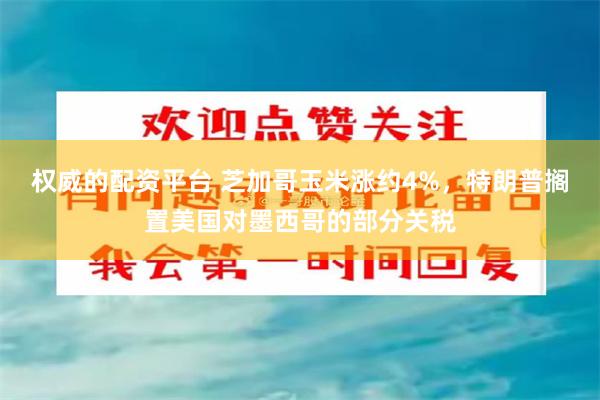 权威的配资平台 芝加哥玉米涨约4%，特朗普搁置美国对墨西哥的部分关税