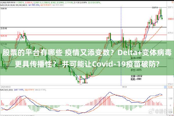 股票的平台有哪些 疫情又添变数？Delta+变体病毒更具传播性？ 并可能让Covid-19疫苗破防?