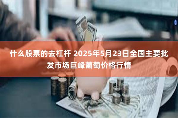 什么股票的去杠杆 2025年5月23日全国主要批发市场巨峰葡萄价格行情