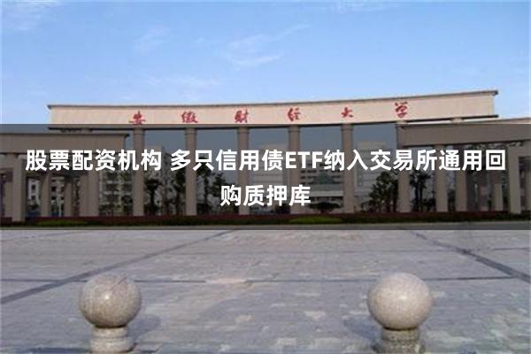 股票配资机构 多只信用债ETF纳入交易所通用回购质押库