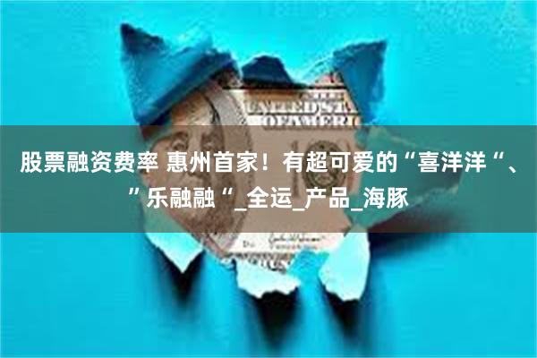 股票融资费率 惠州首家！有超可爱的“喜洋洋“、”乐融融“_全运_产品_海豚