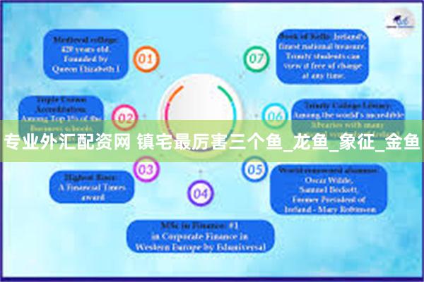 专业外汇配资网 镇宅最厉害三个鱼_龙鱼_象征_金鱼